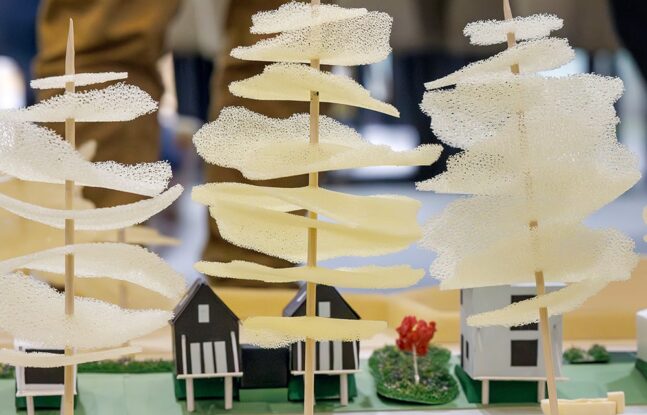 Detail van de maquette
