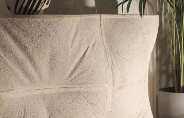 Lage wand gemaakt van mycelium bouwblokken met bovenop twee plantenpotten met planten